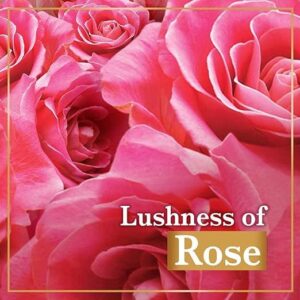 LUX Soft Touch French Rose & Almond Oil Bar Soap 80g (144pcs) - Image 4